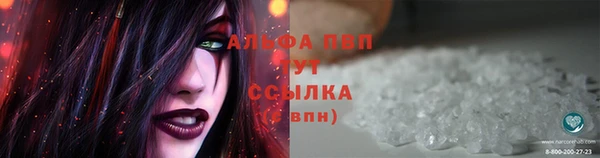 мяу мяу мука Горняк