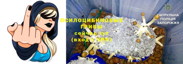 мяу мяу мука Горняк