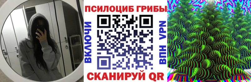 кракен ссылки  даркнет сайт  darknet как зайти  Псилоцибиновые грибы MAGIC MUSHROOMS  Назрань 