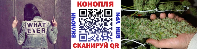 МАРИХУАНА план  дарнет шоп  Назрань 